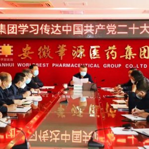 安徽華源醫(yī)藥集團學(xué)習傳達黨的二十大報告精神