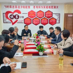 鹿城鎮(zhèn)老年協(xié)會學(xué)習(xí)宣傳貫徹黨的二十大精神，結(jié)合實際做好自身工作討論會召開