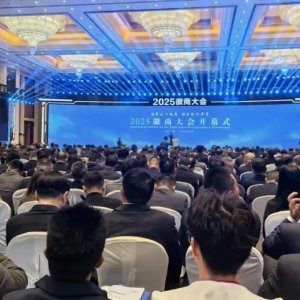 2025徽商大會(huì)在合肥盛大開(kāi)幕